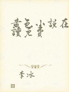 黄色小说在线阅读免费