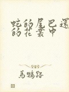 蛇的尾巴还在我的花丛中