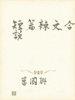 短篇辣文合集小说