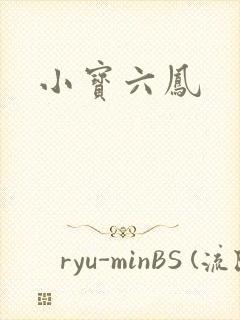 小宝六凤
