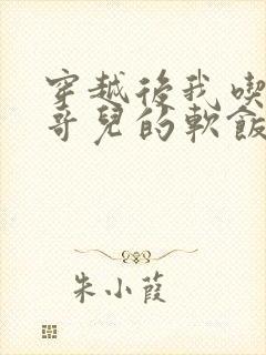 穿越后我吃到了哥儿的软饭炉山灰