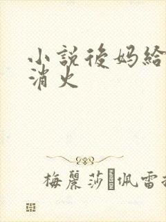 小说后妈给我消消火