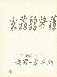 小莹的性荡生活第28的介绍