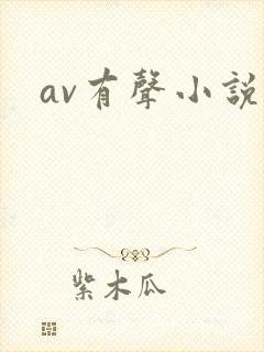 av有声小说