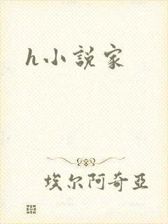 h小说家