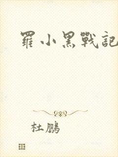 罗小黑战记小说