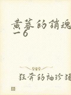 黄蓉的销魂夜1一6