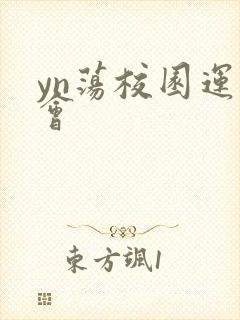 yn荡校园运动会