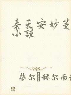 秦天安妙菱修仙小说