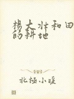 杨大壮和田桂花的耕地