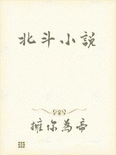 北斗小说