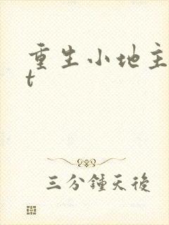 重生小地主txt