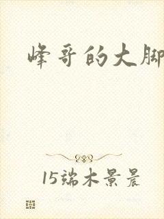 峰哥的大脚