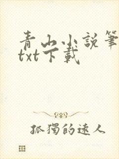 青山小说笔趣阁txt下载