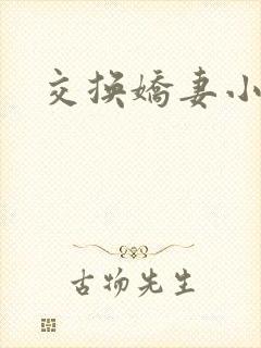 交换娇妻小说