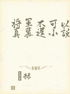 将军不可以魏云真慕迟小说笔趣阁