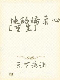 他的娇柔心尖宠[重生]