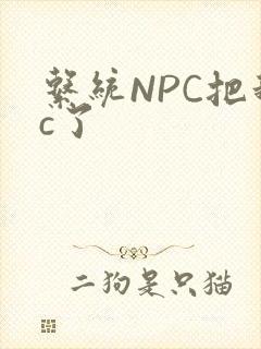 系统NPC把我c了