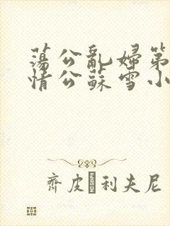 荡公乱妇第1章情公苏雪小说