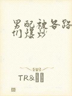 男配被各路大佬们爆炒