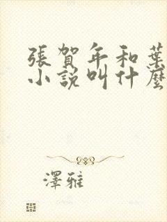 张贺年和叶繁姿小说叫什么名字