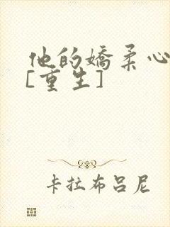 他的娇柔心尖宠[重生]