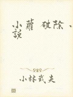 小萝 破除 小说
