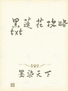 黑莲花攻略手册txt