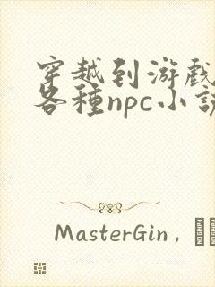 穿越到游戏里和各种npc小说