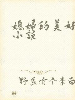 媳妇的美好时代小说