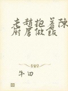 老赵抱着陈婷在厨房做饭