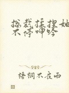 总裁揉捏她两乳不停呻吟