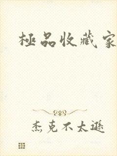 极品收藏家