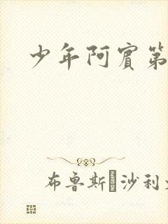 少年阿宾第二部