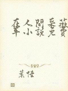 在人间采薇陆三平小说免费阅读