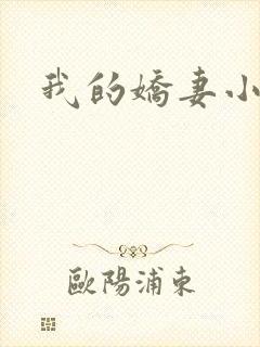 我的娇妻小说