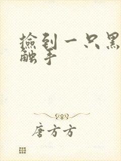 捡到一只黑心小触手