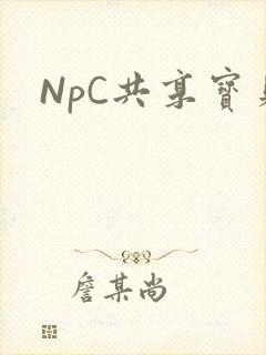 NpC共享宝贝