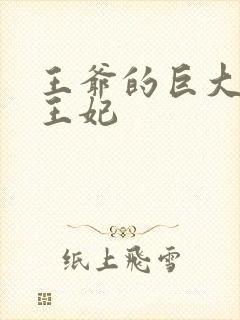 王爷的巨大进入王妃