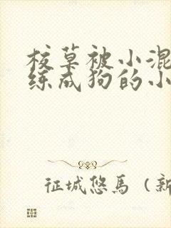 校草被小混混训练成狗的小说