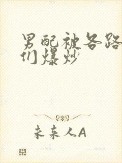 男配被各路大佬们爆炒