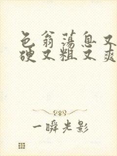 色翁荡息又大又硬又粗又爽