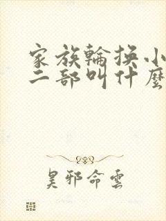 家族轮换小说第二部叫什么名字