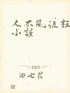人不风流枉少年小说