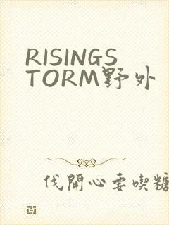 RISINGSTORM野外