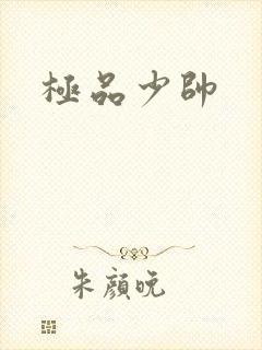 极品少帅