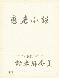 恋老小说