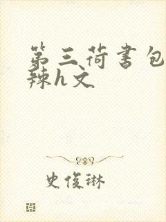 第三荷书包网高辣h文