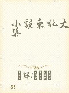 小说东北大炕全集