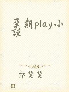 孕期play小说